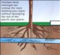 drain surveys witham